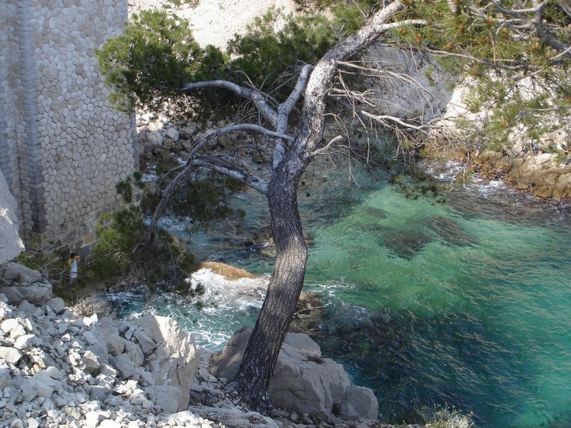 près de Niolon