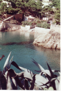 plage des dauphins